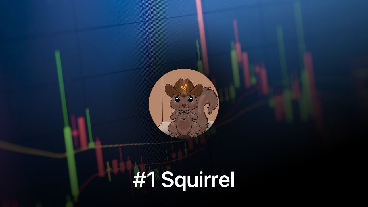 Where to buy #1 Squirrel coin