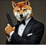 Where Buy AGENT DOGE by Virtuals