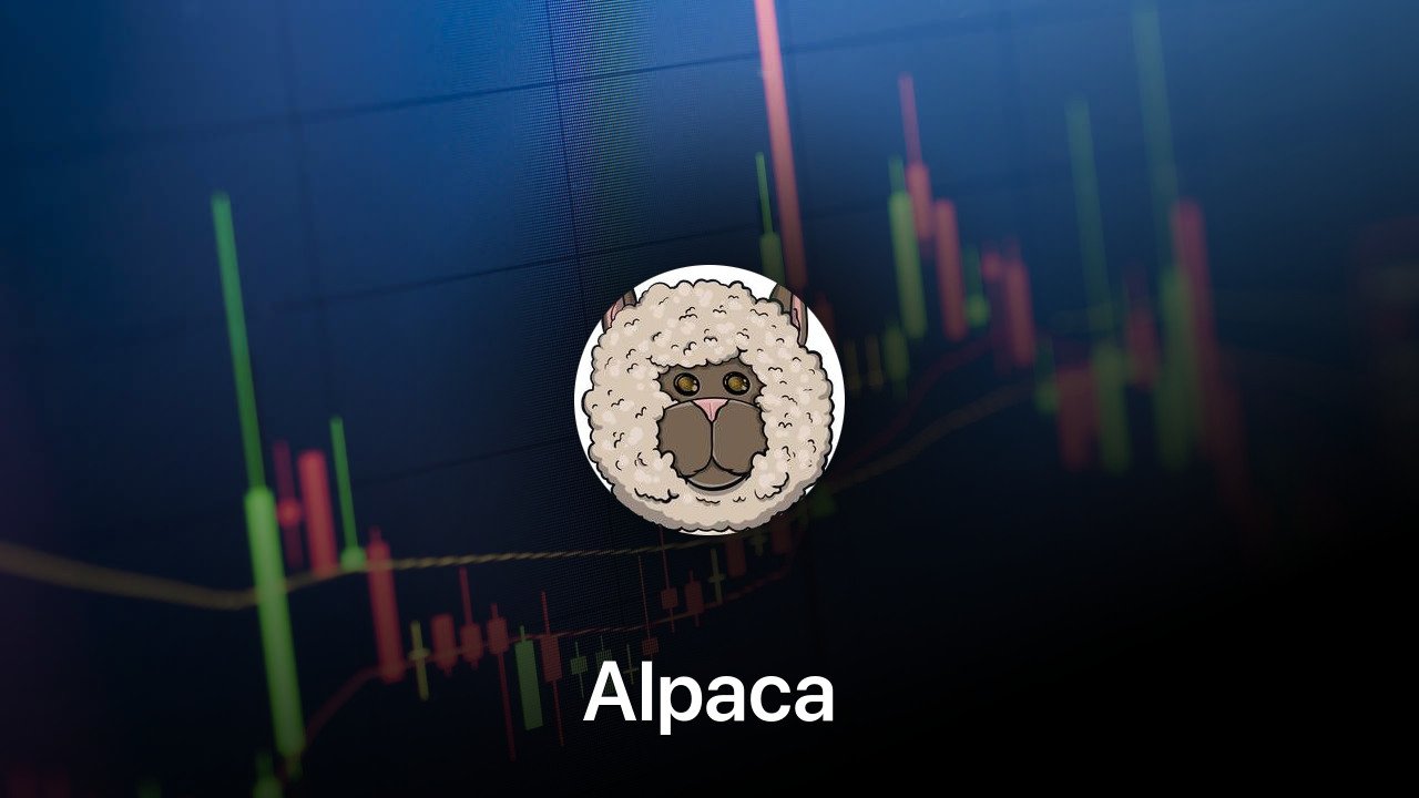 Where to buy Alpaca coin