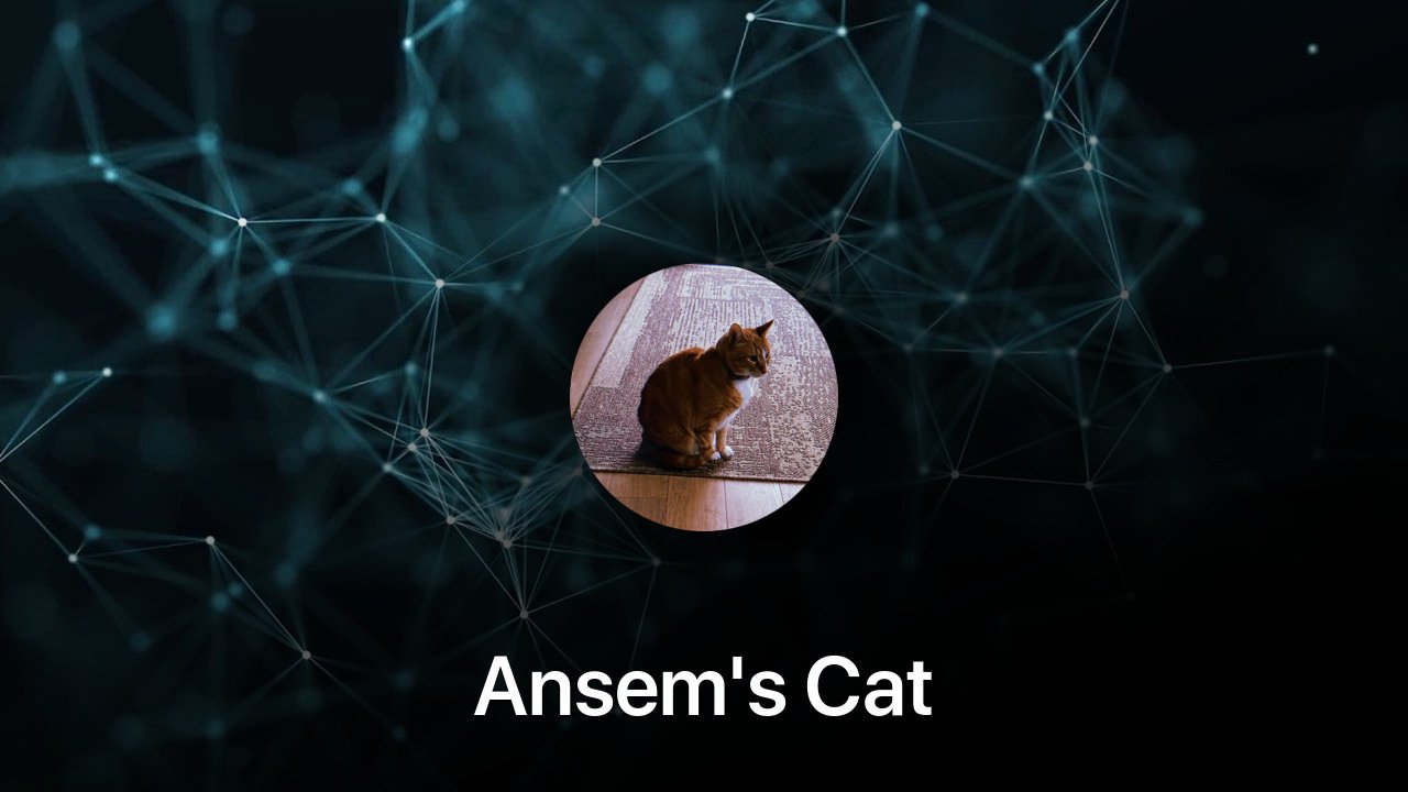 Where to buy Ansem's Cat coin