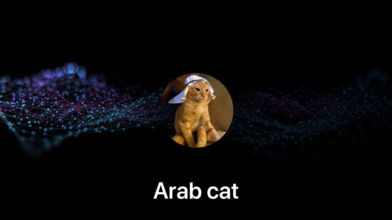 Where to buy Arab cat coin