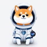 Where Buy Asteroid Shiba