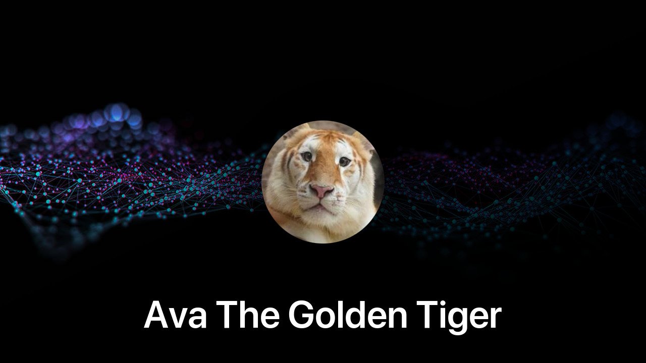 Where to buy Ava The Golden Tiger coin