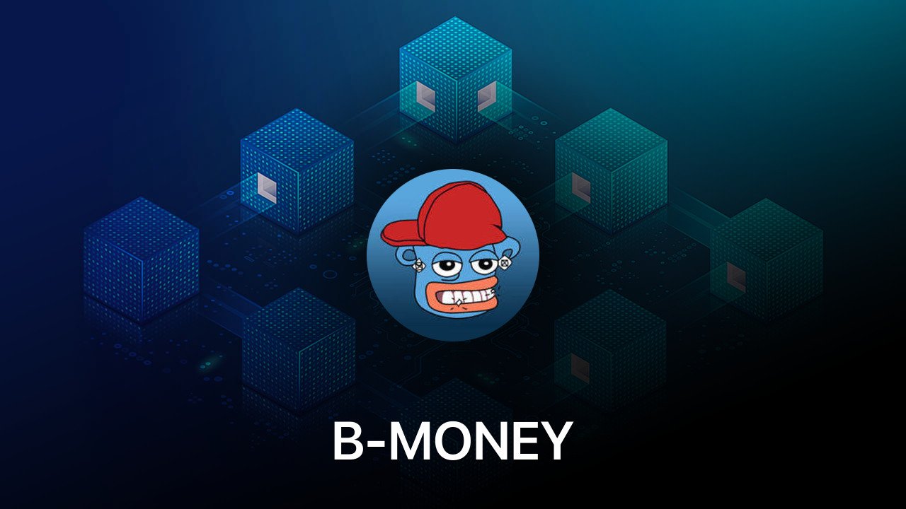 Where to buy B-MONEY coin