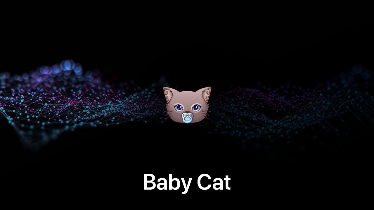 Where to buy Baby Cat coin