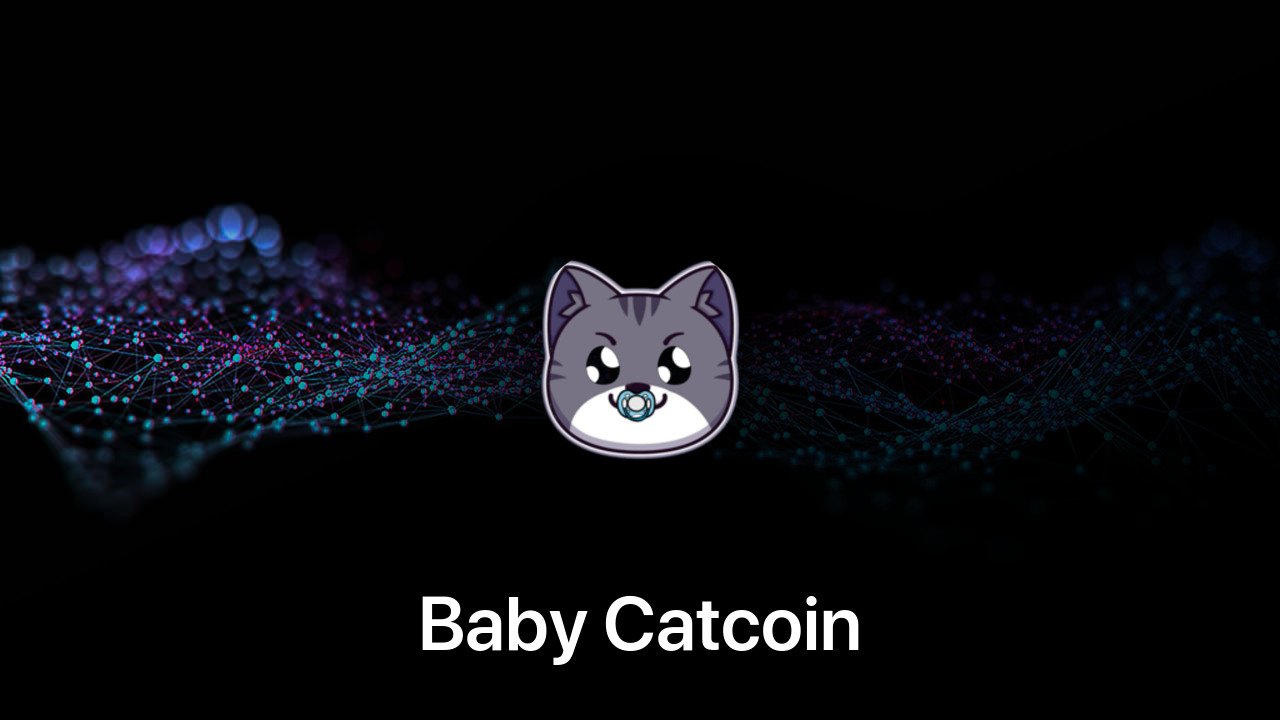 Where to buy Baby Catcoin coin