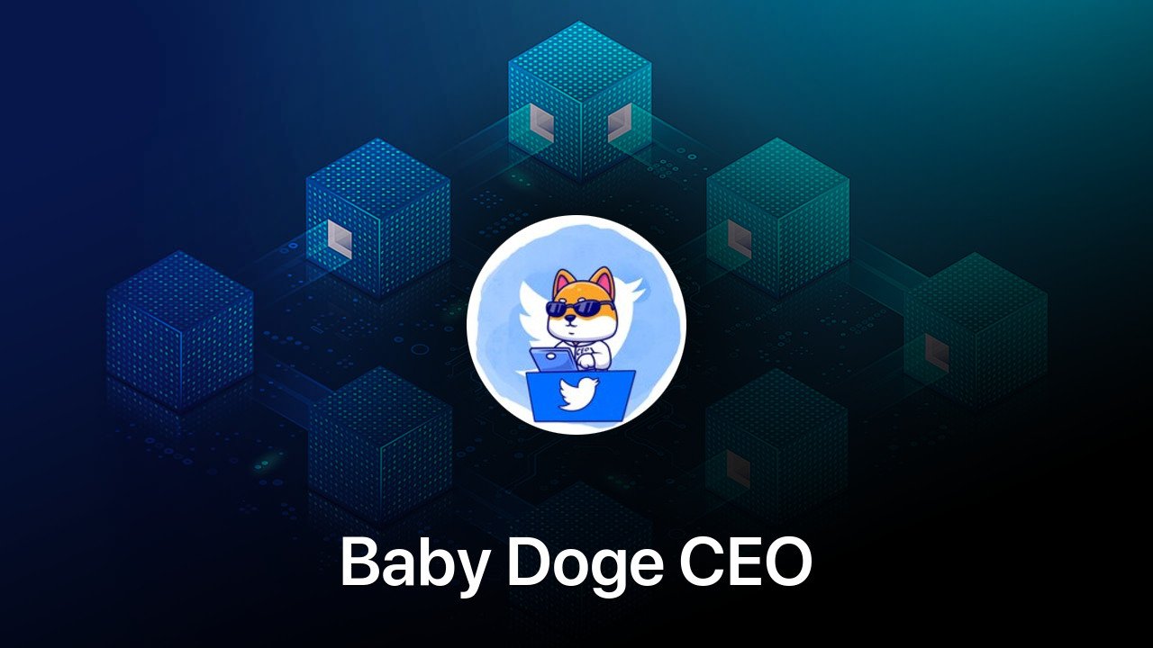 Where to buy Baby Doge CEO coin
