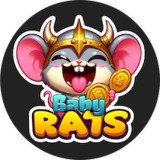 Where Buy Baby Rats