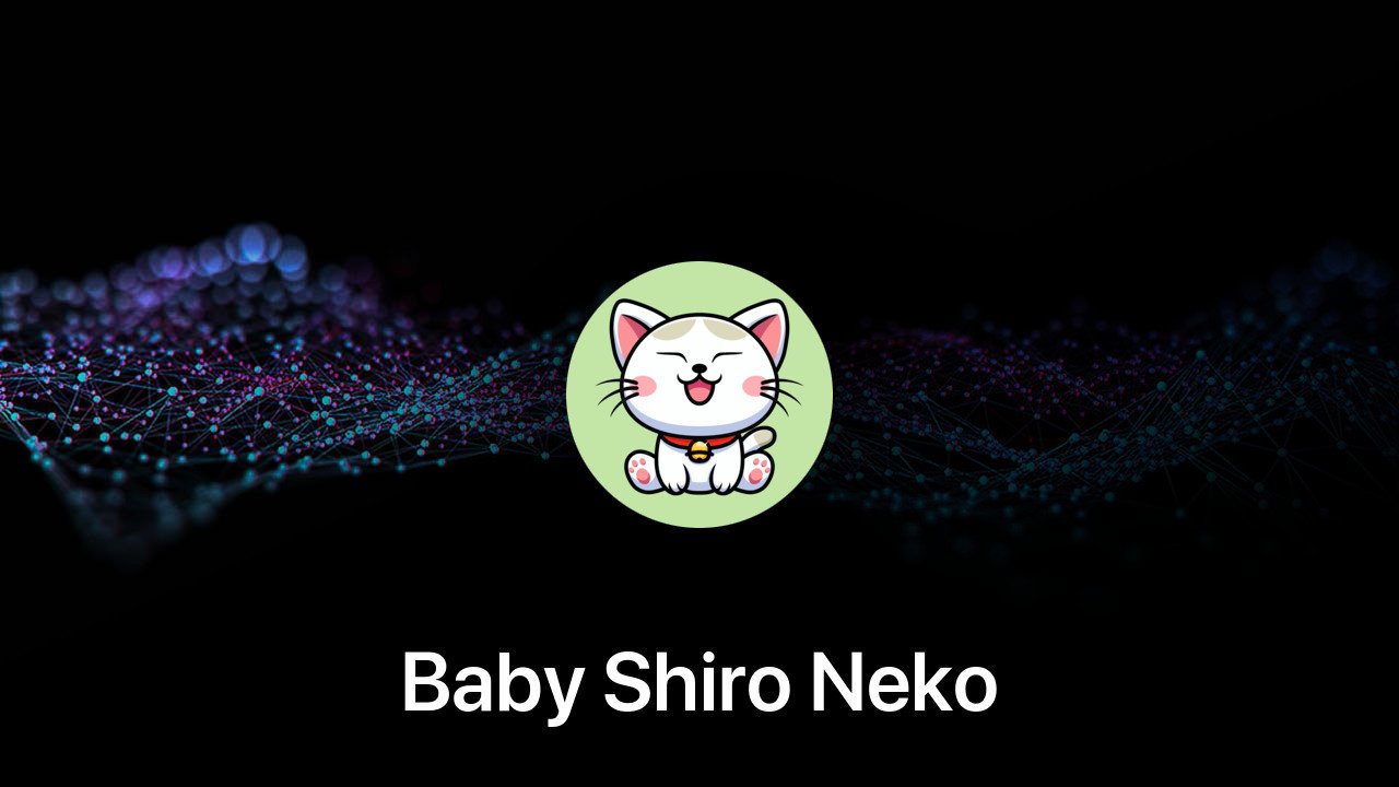 Where to buy Baby Shiro Neko coin