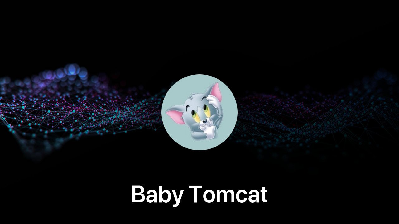 Where to buy Baby Tomcat coin