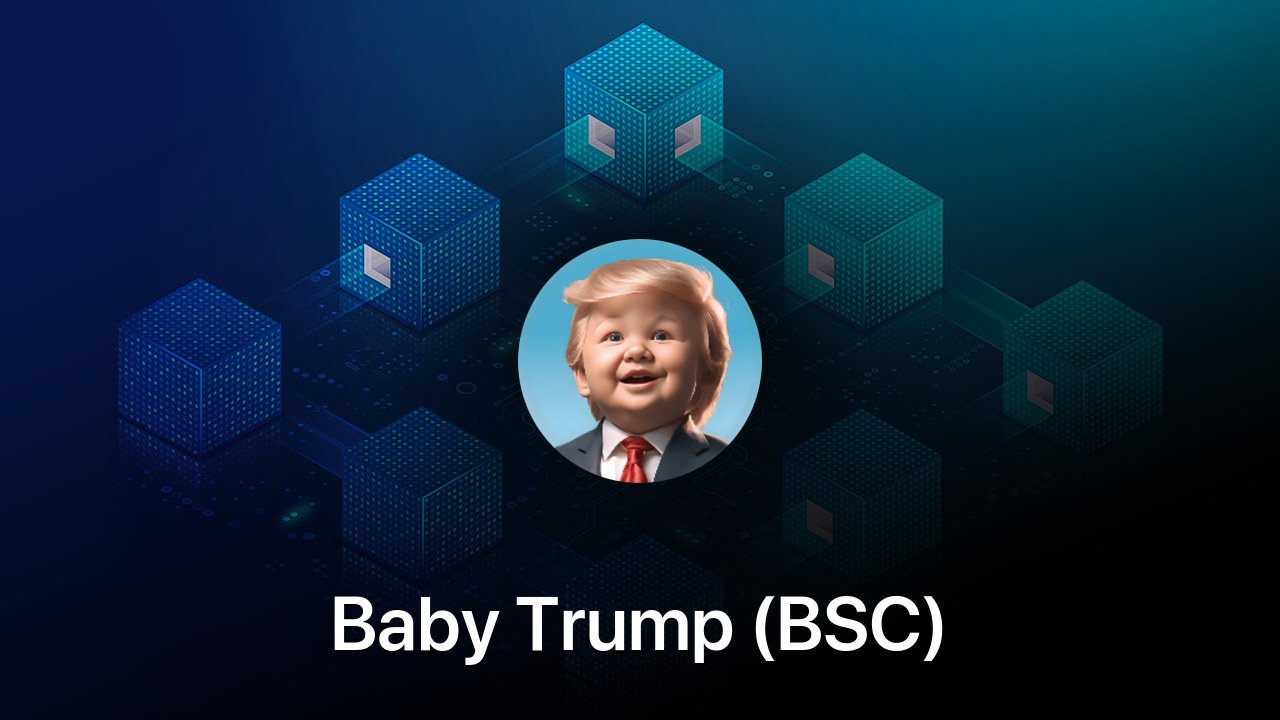 Where to buy Baby Trump (BSC) coin