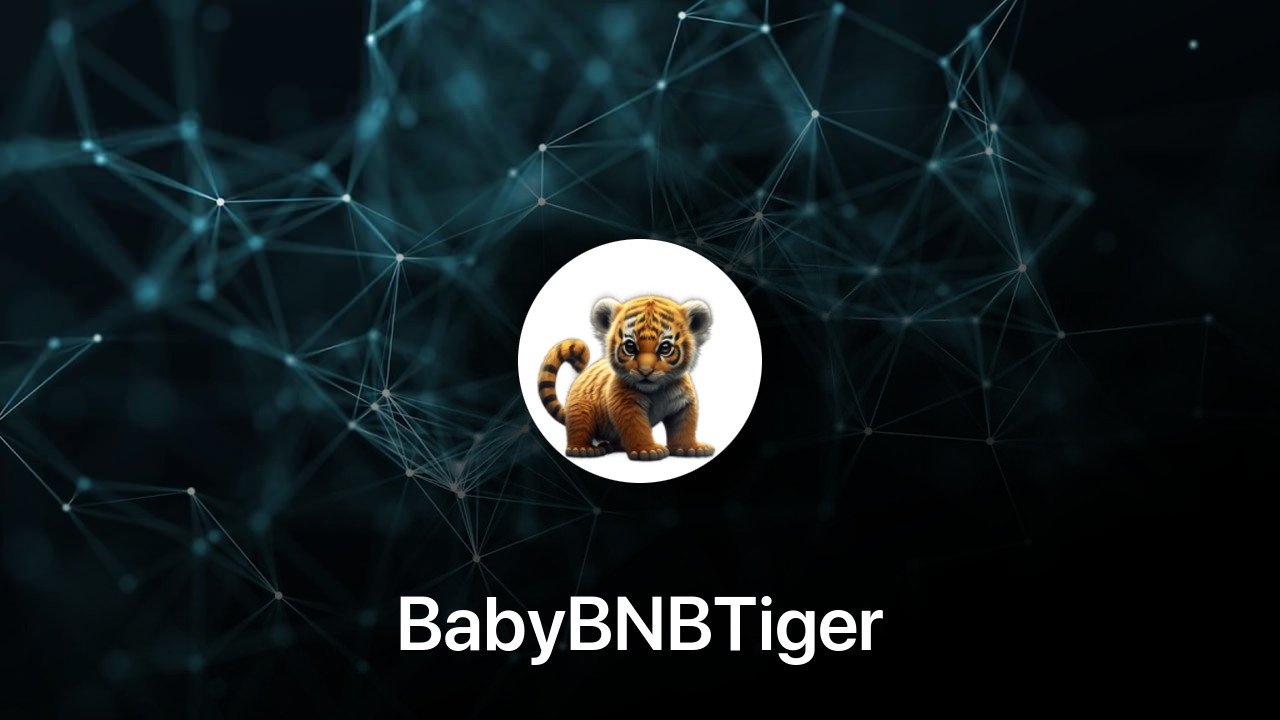 Where to buy BabyBNBTiger coin