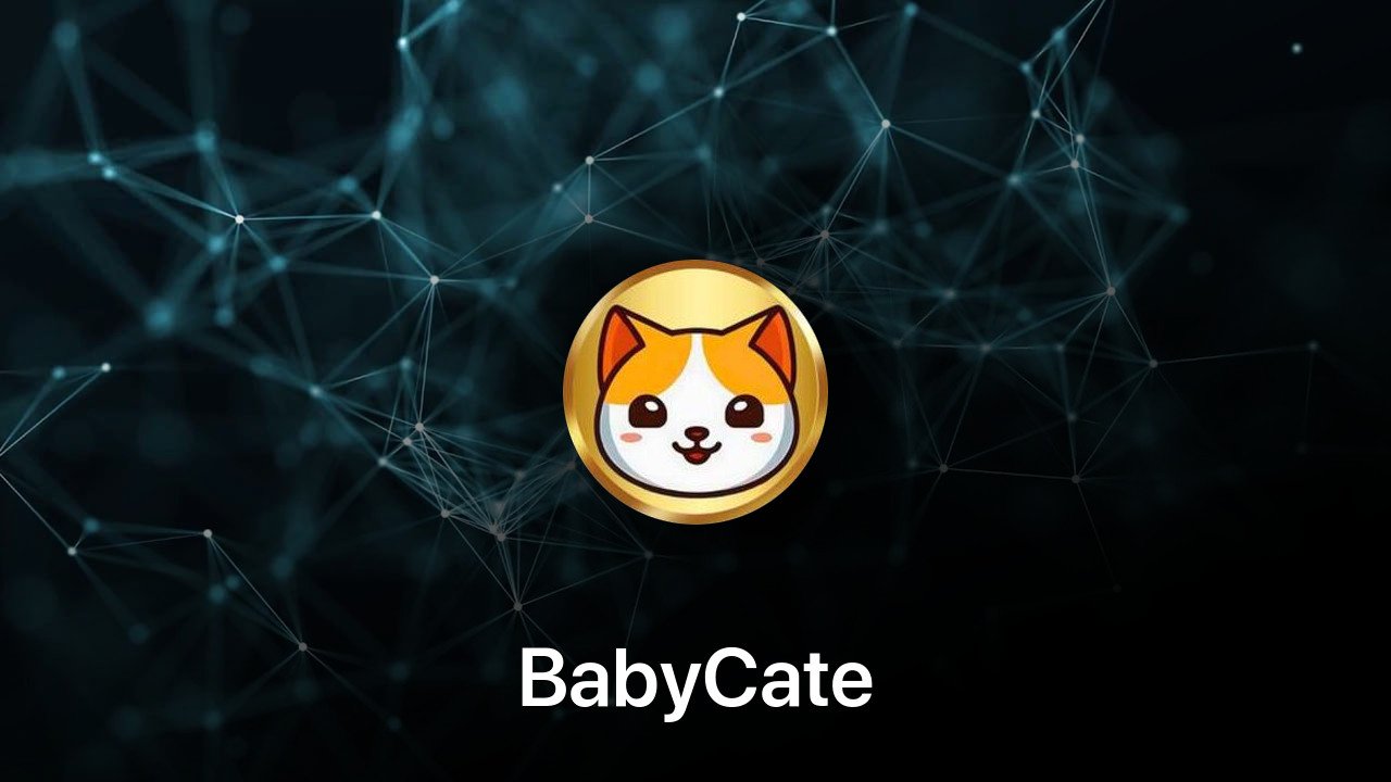 Where to buy BabyCate coin