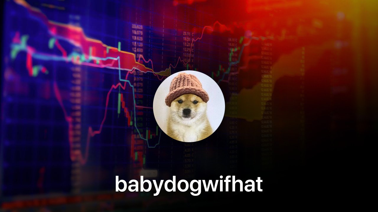 Where to buy babydogwifhat coin