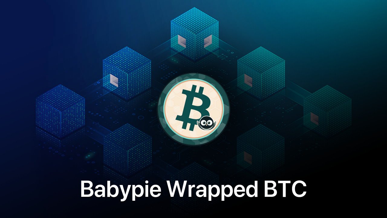 Where to buy Babypie Wrapped BTC coin