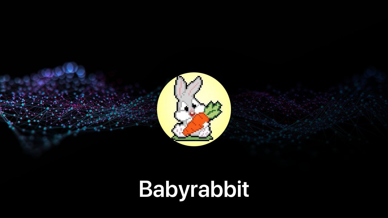 Where to buy Babyrabbit coin