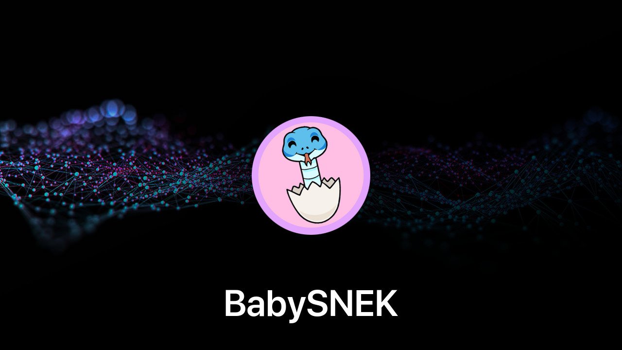 Where to buy BabySNEK coin