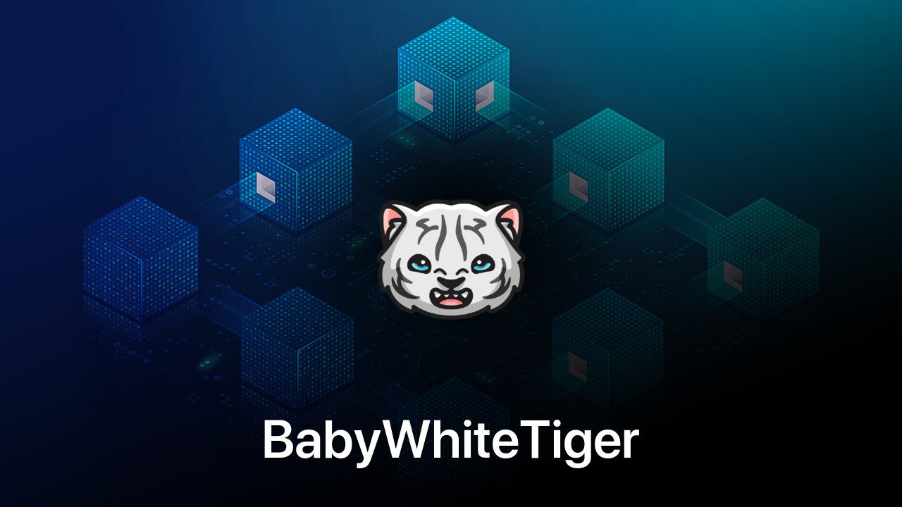 Where to buy BabyWhiteTiger coin