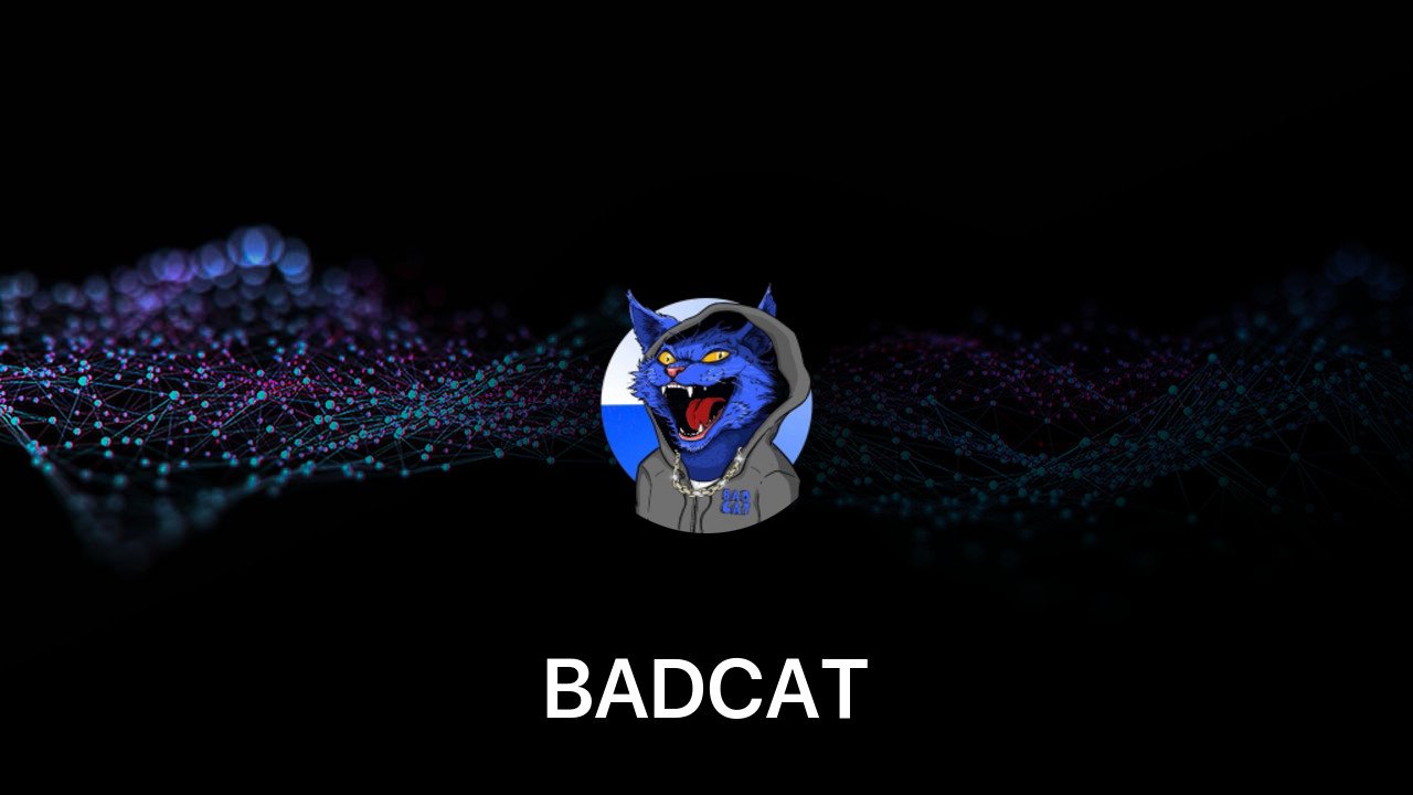 Where to buy BADCAT coin