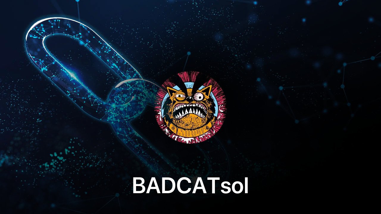 Where to buy BADCATsol coin