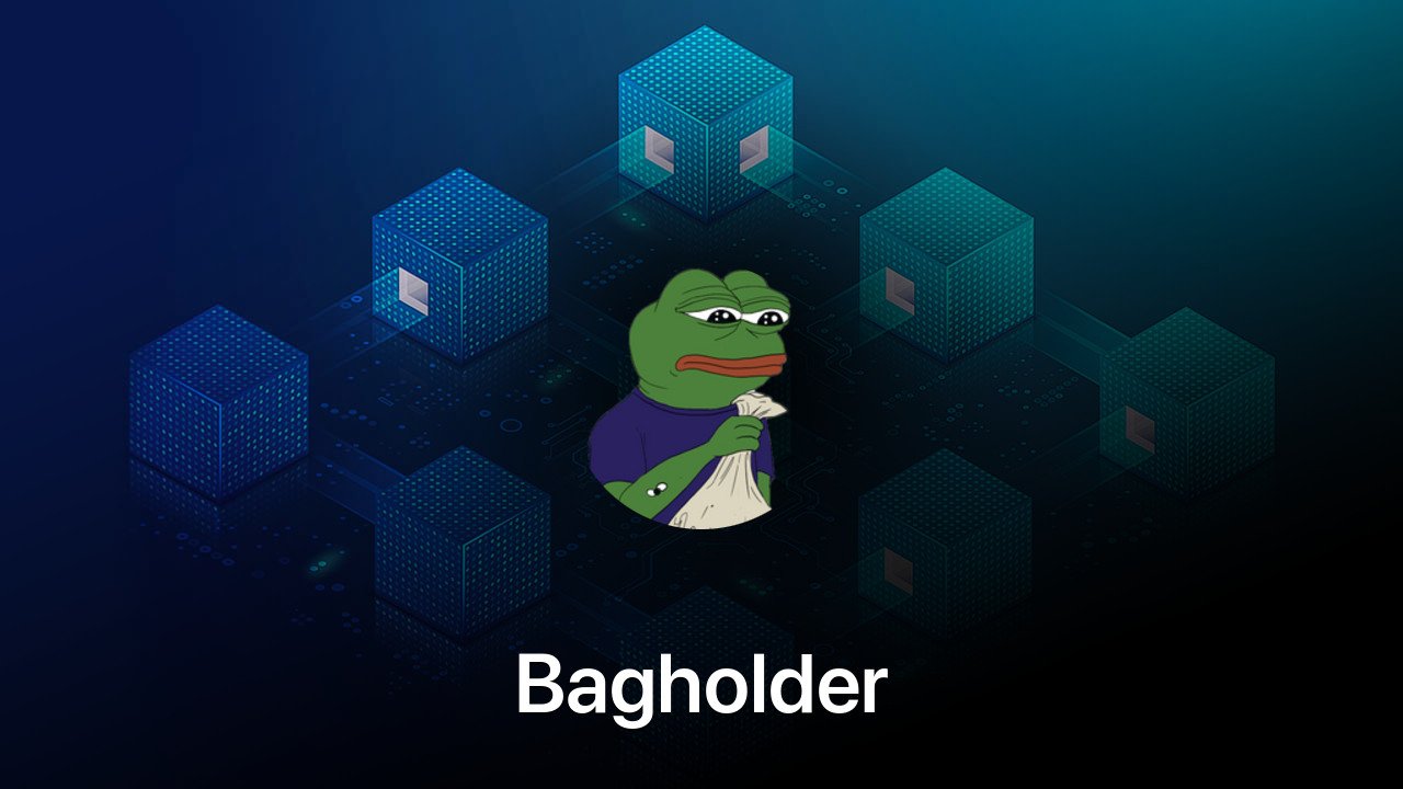 Where to buy Bagholder coin