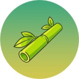 Where Buy Bamboo on Base