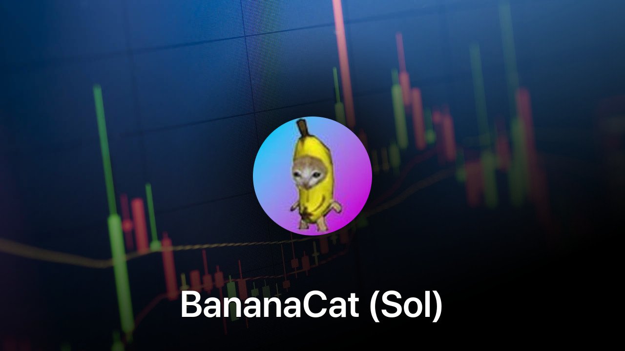 Where to buy BananaCat (Sol) coin