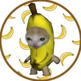 Where Buy BananaCat