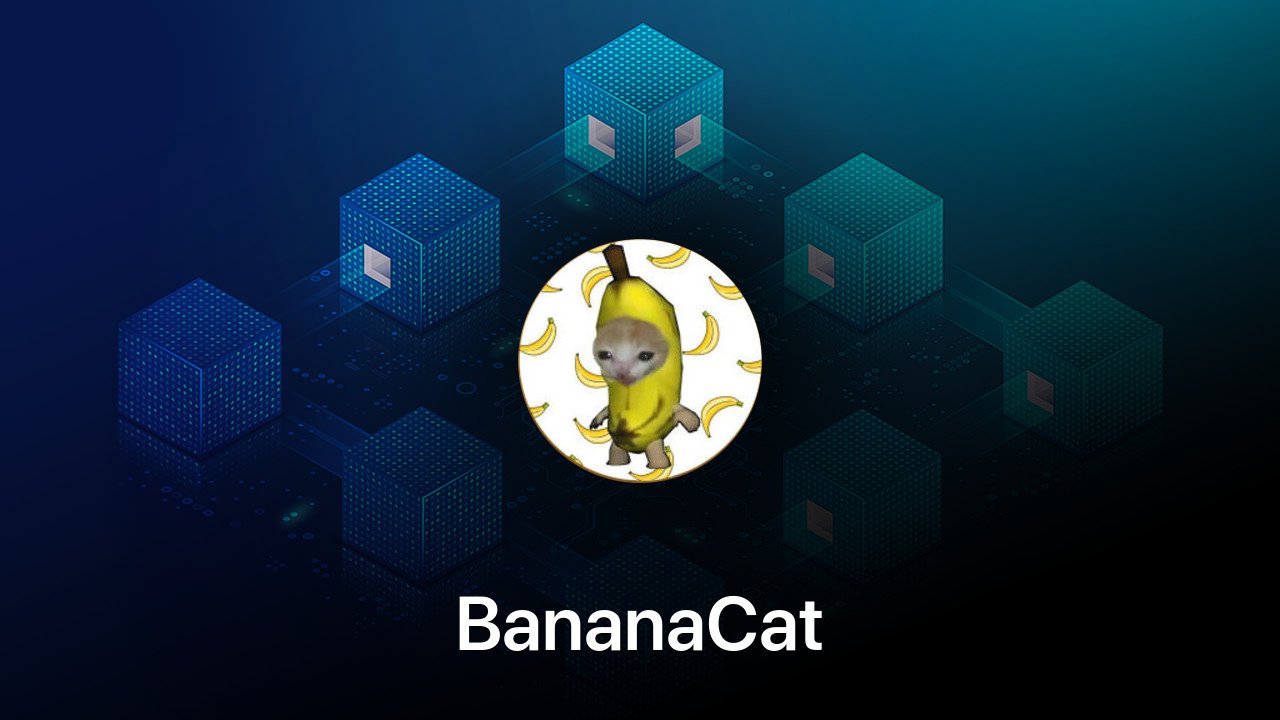 Where to buy BananaCat coin