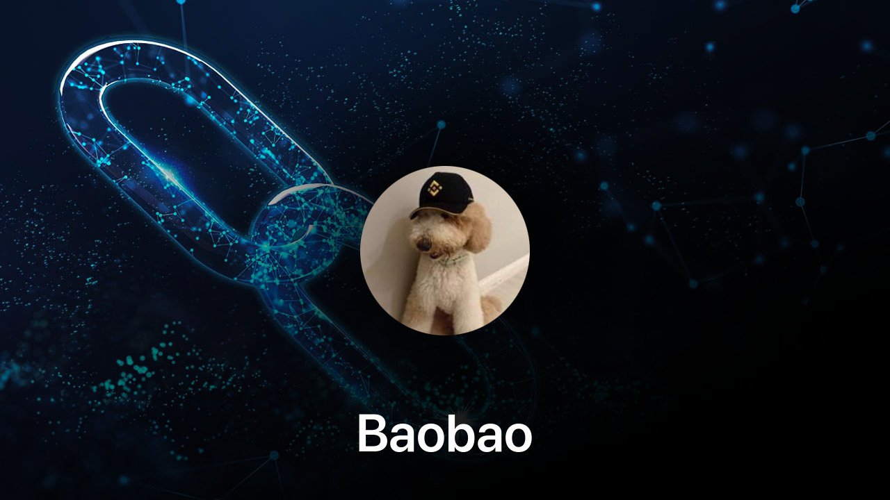 Where to buy Baobao coin