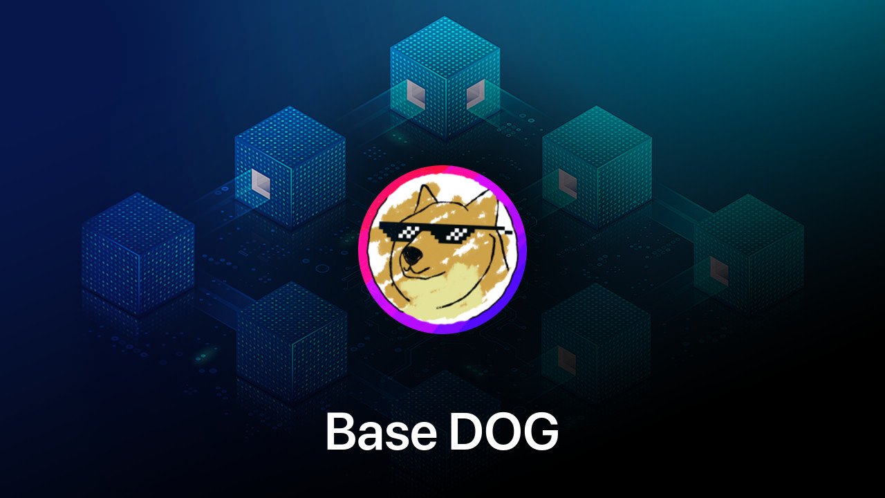 Where to buy Base DOG coin