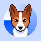 Where Buy Basenji