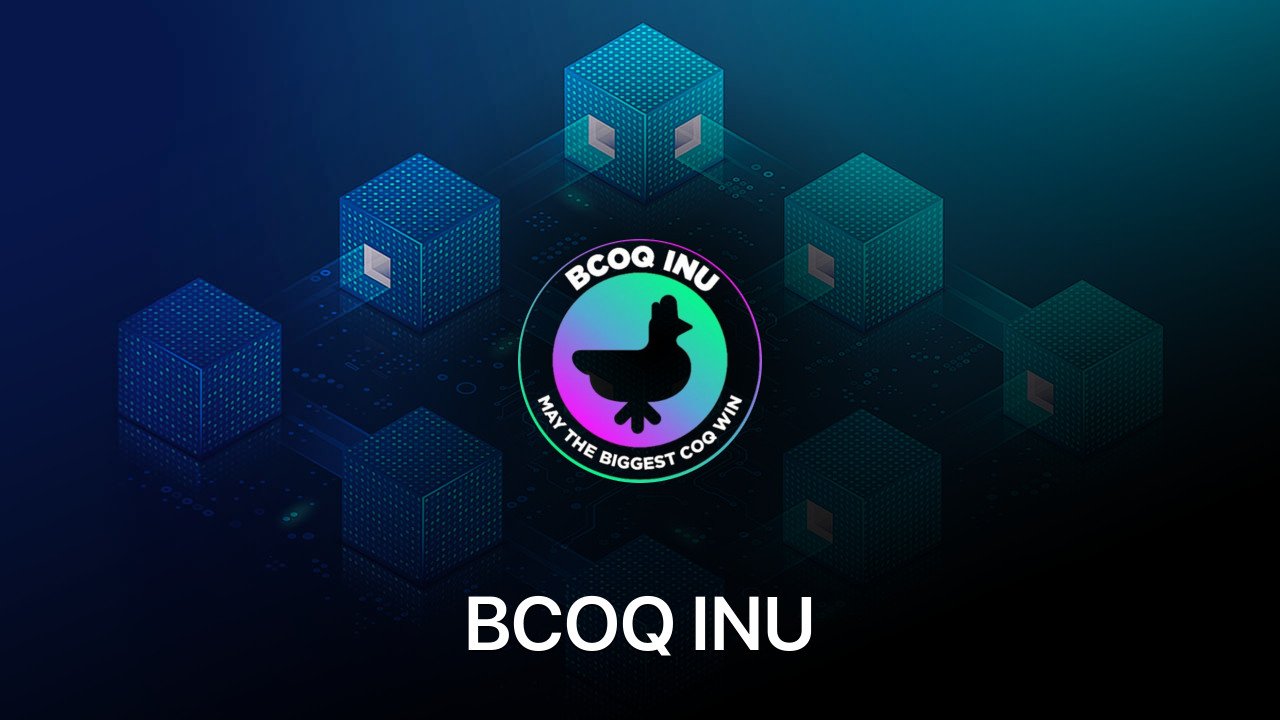 Where to buy BCOQ INU coin