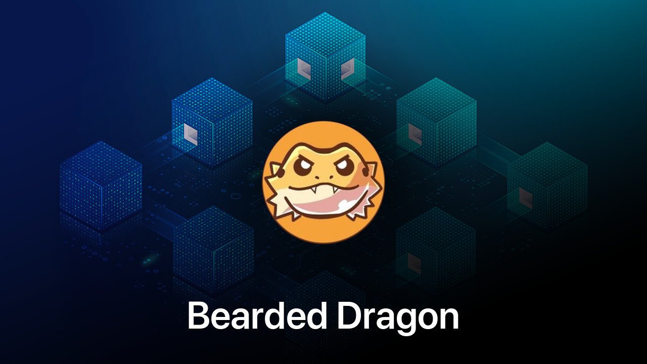 Where to buy Bearded Dragon coin