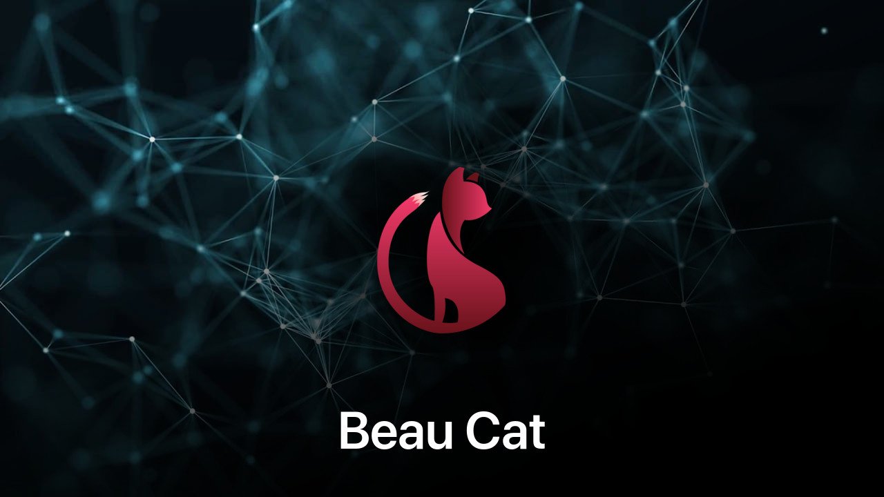 Where to buy Beau Cat coin