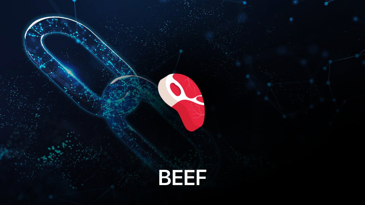 Where to buy BEEF coin