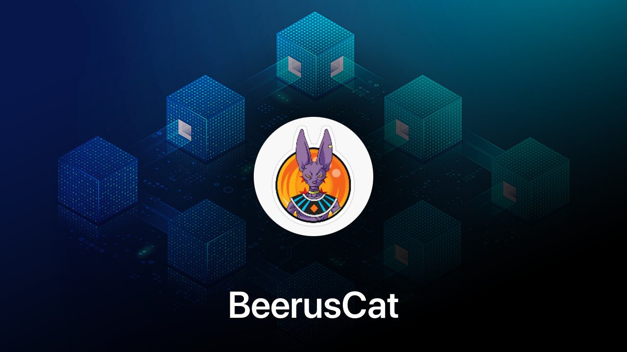 Where to buy BeerusCat coin