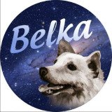 Where Buy Belka [OLD]