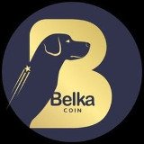 Where Buy Belka