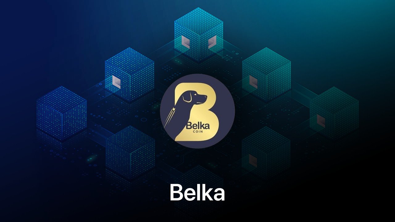 Where to buy Belka coin