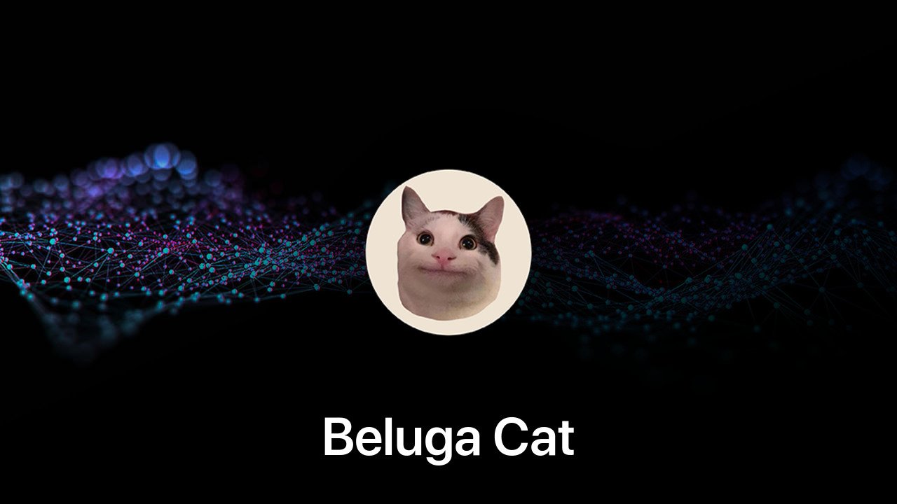 Where to buy Beluga Cat coin