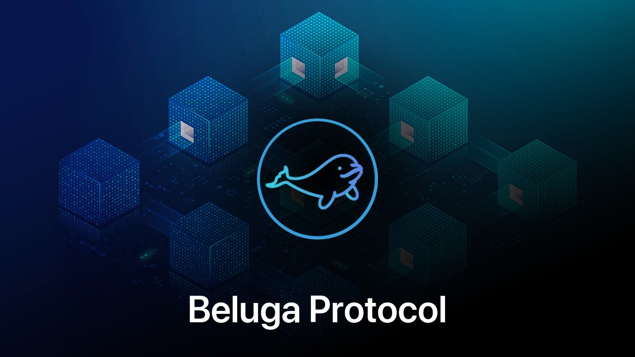 Where to buy Beluga Protocol coin