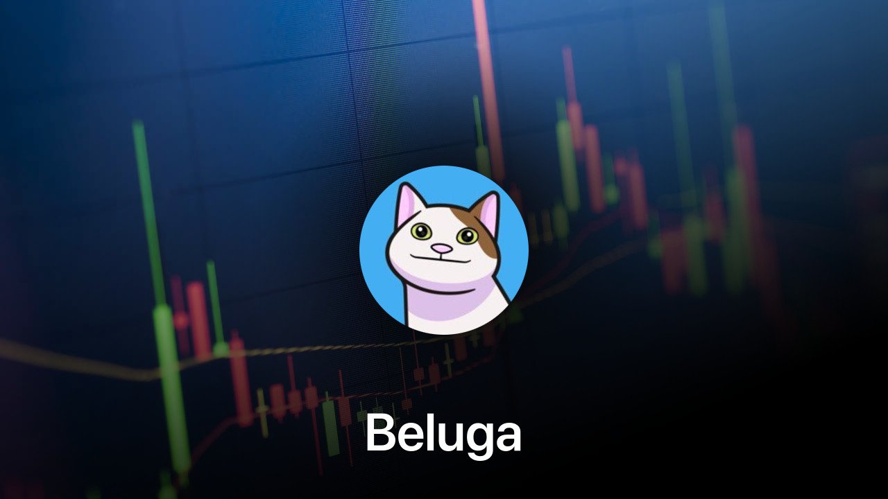 Where to buy Beluga coin