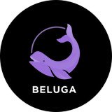 Where Buy Beluga.fi