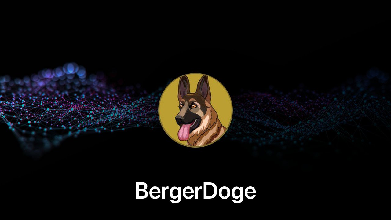 Where to buy BergerDoge coin