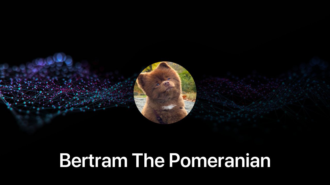 Where to buy Bertram The Pomeranian coin