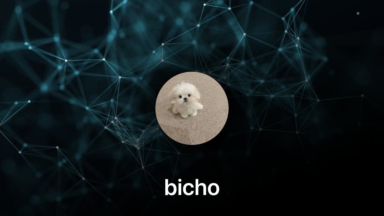 Where to buy bicho coin