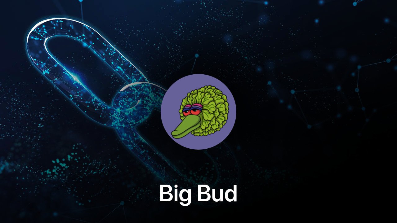 Where to buy Big Bud coin