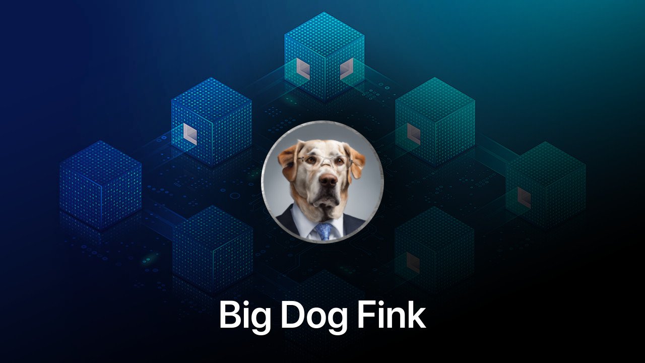 Where to buy Big Dog Fink coin