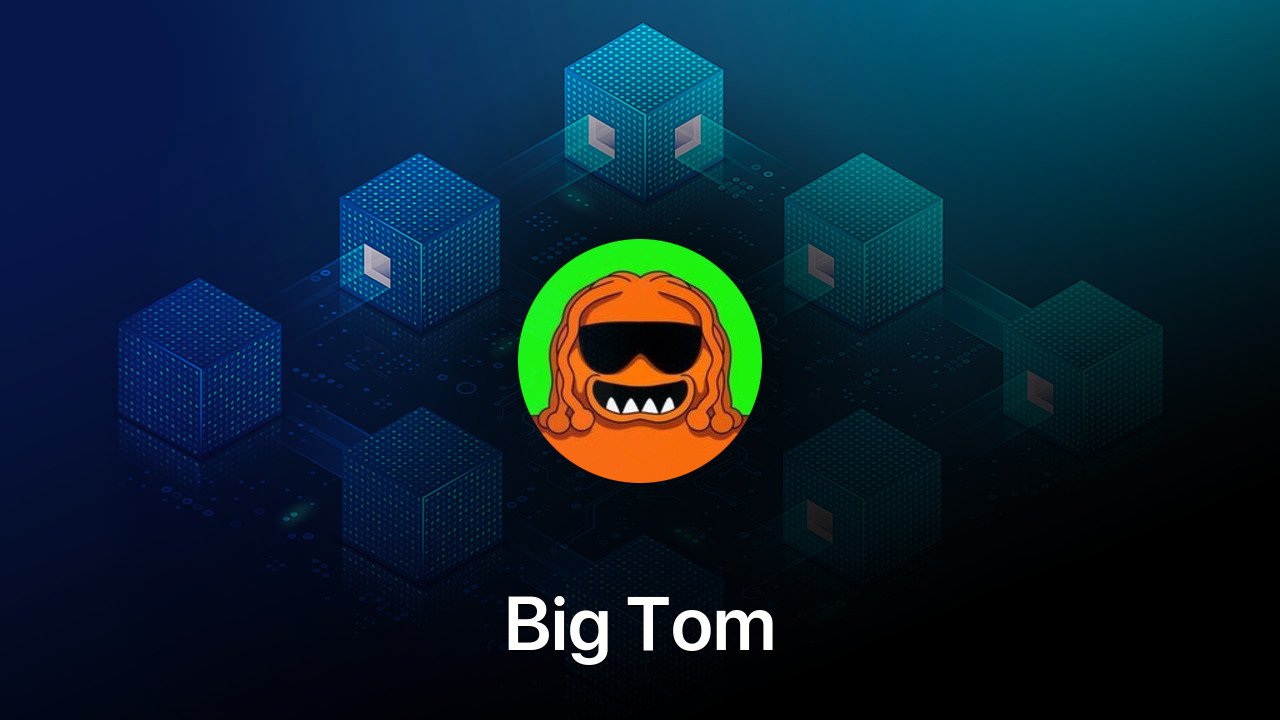 Where to buy Big Tom coin